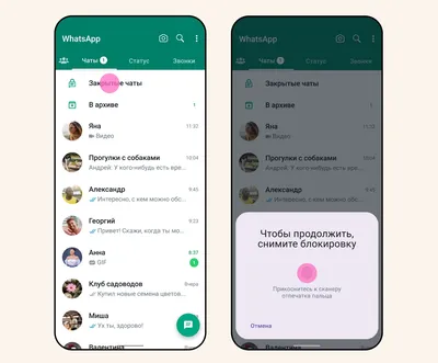 Автоматическая рассылка сообщений WhatsApp / Хабр