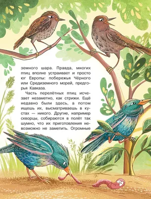 Зимующие птицы. Картинки, стихи и вопросы к мероприятию Зимующие птицы и  зимние кормушки.