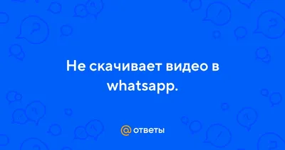 Не работает WhatsApp Business: причины и варианты решения проблем | Wazzup