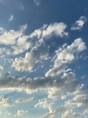Фотообои Небо солнце и облака купить на стену • Эко Обои