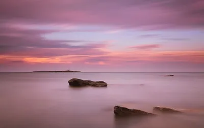 Облачное небо над морем с чайкой. стоковое фото ©i.bebeshka 534558016