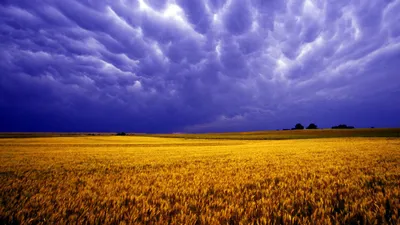 Буря перед грозой. Фотограф Вера Иванова