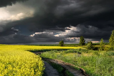 Небо перед грозой :: Михаил Новожилов – Социальная сеть ФотоКто