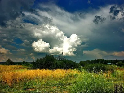 Дарья Вакорина på X: \"Как же красиво небо перед грозой!  https://t.co/Bc42L79Edj\" / X