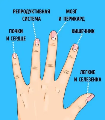Ногти Пермь - Итак давайте разберём какие есть не... | Facebook