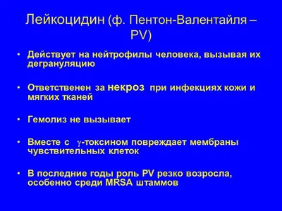 Осложнение после абдоминопластики: некроз тканей | Александр Маркушин  пластический хирург