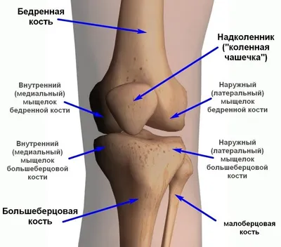 Абсцесс кожи – причины, симптомы, диагностика и лечение болезни кожи у  взрослых | «Будь Здоров»