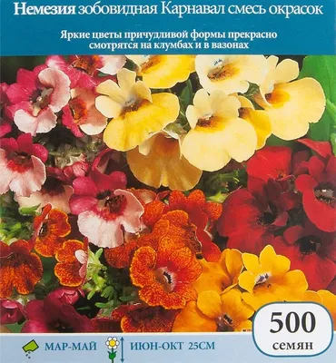 Какие цветы посадить на балконе – блог интернет-магазина Порядок.ру