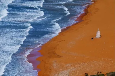 Красивые молодые женщины отдыхают на пляже на морском курорте :: Стоковая  фотография :: Pixel-Shot Studio