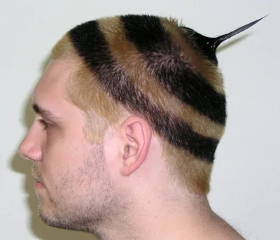 Странные и необычные причёски, которые люди себе делают (23 фото) -  07.03.2022