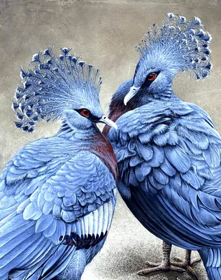 🐦Самые необычные птицы! | ⭐Красота спасет мир!⭐ | Дзен
