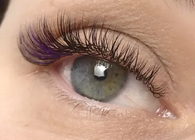 Lash natural 🌿 Естественные ресницы можно делать не только в коричневом  цвете, на фото: неполное классическое наращивание с загущением… | Instagram