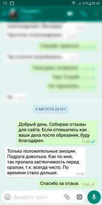 Пластика крайней плоти в Москве: цена препуциопластики при фимозе в центре  детской андрологии