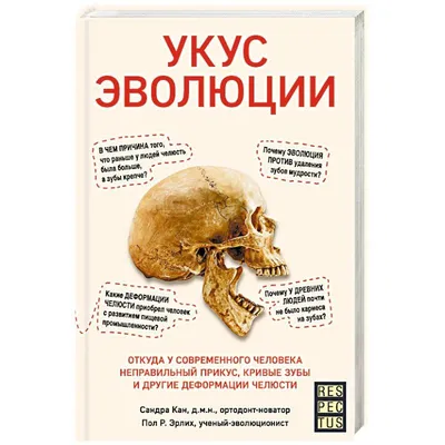 Всё и подробно про исправление прикуса - Доктор Стом