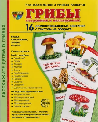 Грибы съедобные и несъедобные. Определяем, что бы не отравиться. Часть  третья. | Rinatk@ | Дзен