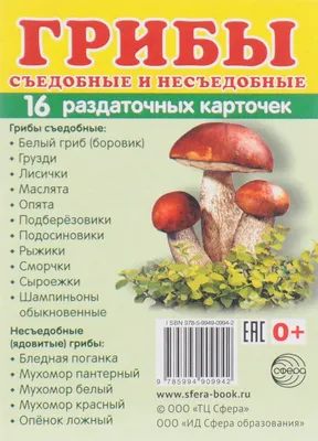 Как отличить ложный гриб от съедобного и что делать при отравлении