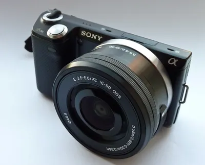 Congrats Sony, You Have a Winner with the NEX-5 Digital Camera -  HighTechDad™