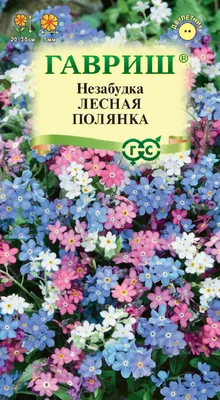 Незабудка лесная купить в питомнике растений с доставкой по Самаре и  Самарской области, рассада, выращивание, посадка и уход