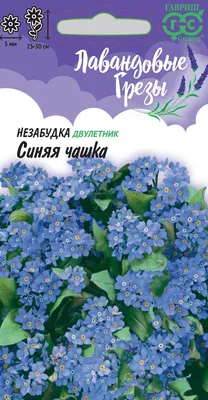 Незабудка садовая голубая многолетняя - 74 фото