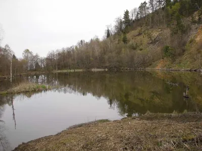 Термальный релакс: живая вода Мостовского района Краснодарского края - РИА  Новости, 24.11.2022