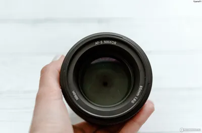 Nikon Nikkor AF-S 85 mm f/1.8G пример фотографии 249734015