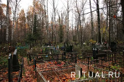 Кладбище Николо-Архангельское - Городская ритуальная служба г. Балашиха
