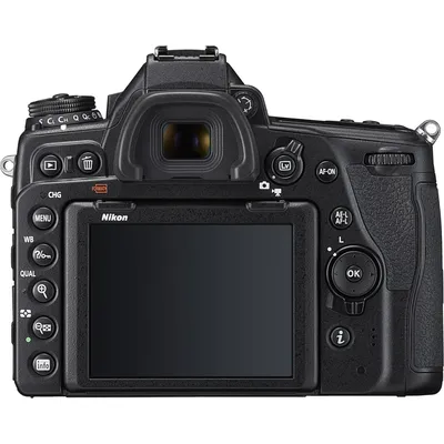 Обзор Nikon D5100 с примерами фото | Иди, и снимай!
