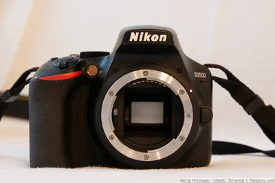 БЛОГ ДМИТРИЯ ЕВТИФЕЕВА | Обзор и тест фотокамеры Nikon D850