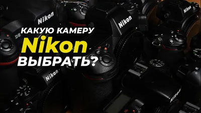 Nikon D3500. Обзор от читателя Радоживы | Радожива