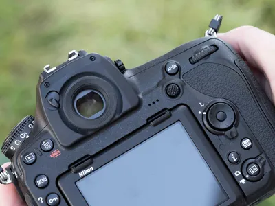 Nikon D850. На что мы надеялись и что получили - Photar.ru