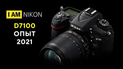 Фотоаппарат Nikon D7100 Обзор В 2021 году опыт владения тест отзыв  сравнение - YouTube