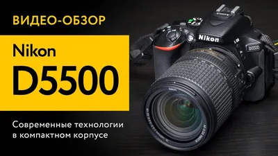 Видео тест зеркалки Nikon D5500 // Видеоуроки // FOTOEXPERTS