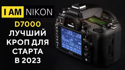 Большой тест Nikon D7000 Покупать ли в 2023? - YouTube