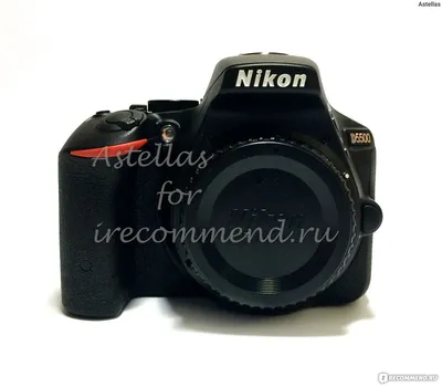 Nikon D5500 - «Первая зеркалка Nikon с сенсорным экраном. Идеальный вариант  для фотографов-любителей» | отзывы