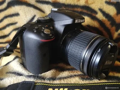 Nikon D5300 - «Лучший вариант первой покупки цифровой камеры» | отзывы