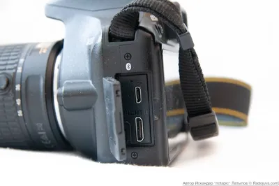 Nikon D3500. Обзор от читателя Радоживы | Радожива
