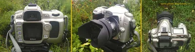 Стоит ли покупать новый фотоаппарат. Примеры снимков на старенькие зеркалки  Nikon D50 и Nikon D90 | Блог начинающего фотографа и путешественника