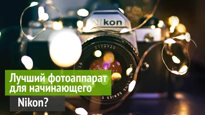 Фотоаппарат Nikon D5200. Обзор и примеры фото. Перископ