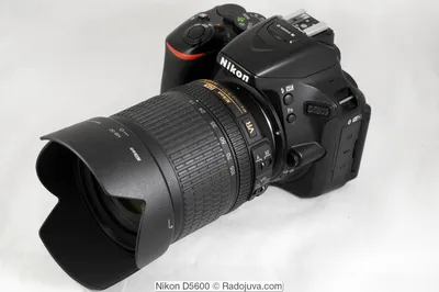 Краткий обзор Nikon D5600 | Радожива