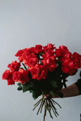 Букет из 25 алых роз 60-70 см (Эквадор) Нина - купить по цене 8975 ₽ с  доставкой, Санкт-Петербург