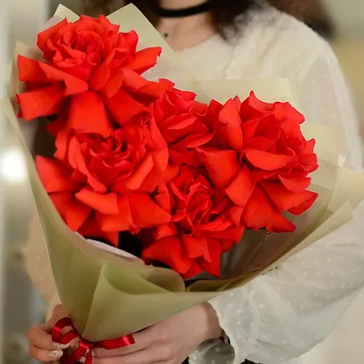 Длинные розы в Ватутинках, купить недорого - Цветочная лавка