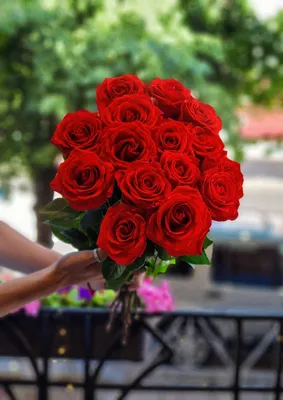 Май Харт: 15 алых роз сорта Нина по цене 6125 ₽ - купить в RoseMarkt с  доставкой по Санкт-Петербургу