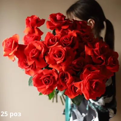 Купить Роза Нина (Nina Weibull) 60 см дешево в Екатеринбурге