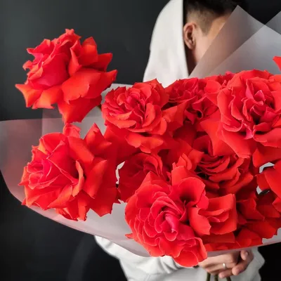Роза Нина Э купить в Калининграде, цена с доставкой | Цветы Голландии