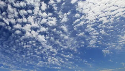 небо человека мух стоковое изображение. изображение насчитывающей счастье -  6982503