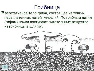 КЛИНИЧЕСКИЙ СЛУЧАЙ ЛАДОННО-ПОДОШВЕННОЙ КЕРАТОДЕРМИИ УННЫ-ТОСТА - Пашинян -  Российский журнал кожных и венерических болезней