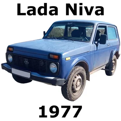 Black Russian Offroad Car Lada Niva 4x4 Parked On The Field Stock Photo -  Download Image Now - iStock