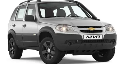 Chevrolet Niva 1.7 бензиновый 2014 | Графит, темнофиолетовый на DRIVE2