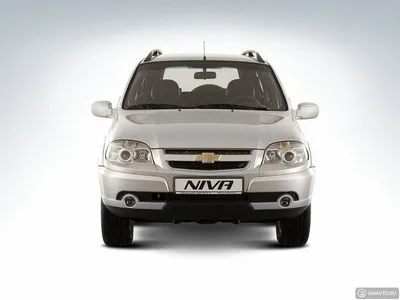 Chevrolet Niva 1.7 бензиновый 2013 | Графит на DRIVE2