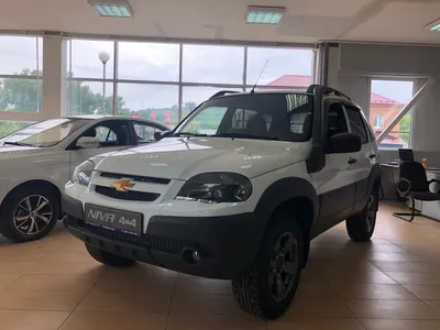 Подскажите код краски — Chevrolet Niva, 1,7 л, 2010 года | просто так |  DRIVE2